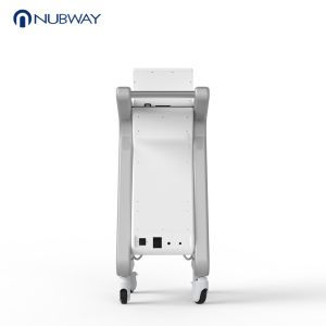 2019 hot sale 2 handles face lifting microneedle rf fractional machine with