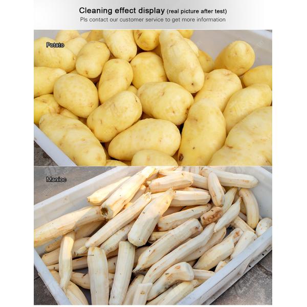 Wash Washer Washing Cleaning processing production Destoning Supplying soybeans Potato Carrot Taro Sweet potato Yam Saiko persimmon Sealed cover brush