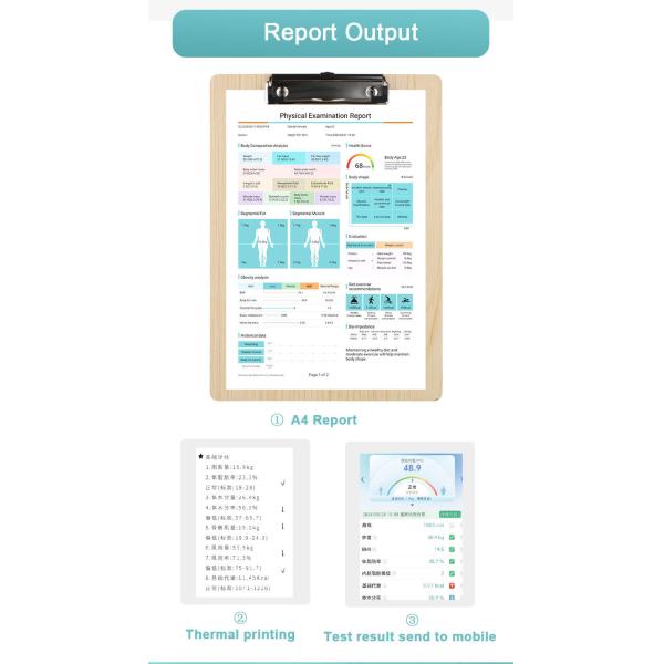 Height Weight Body Composition Analyzer Protein Balance for Spa