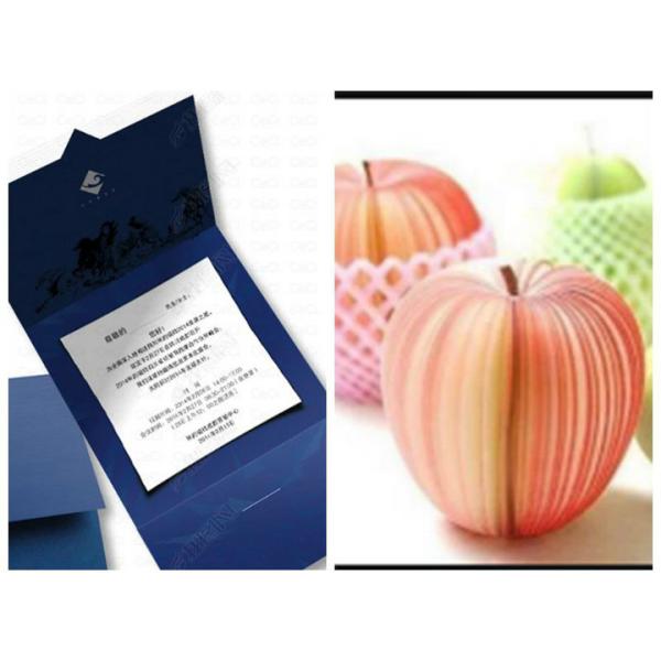 168g 240g Woodfree Printable Stone Paper Tear Resistant 787mm x 1000m Jumbo Roll