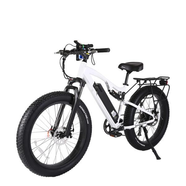 DOMANCA 2024 Electric Bike 7 Speed E bike with Rear Hub Motor and Max Speed of 30-50Km/h
