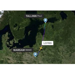 One Stop Global Freight Forwarder Economic With Competitive Rates