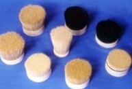 Buy PIG HAIR at wholesale prices