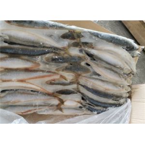 China 75g 80g Gutted Shape Frozen Mackerel Fish For Bait on sale