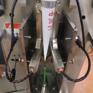 SS 304 Spice Powder Packing Machine