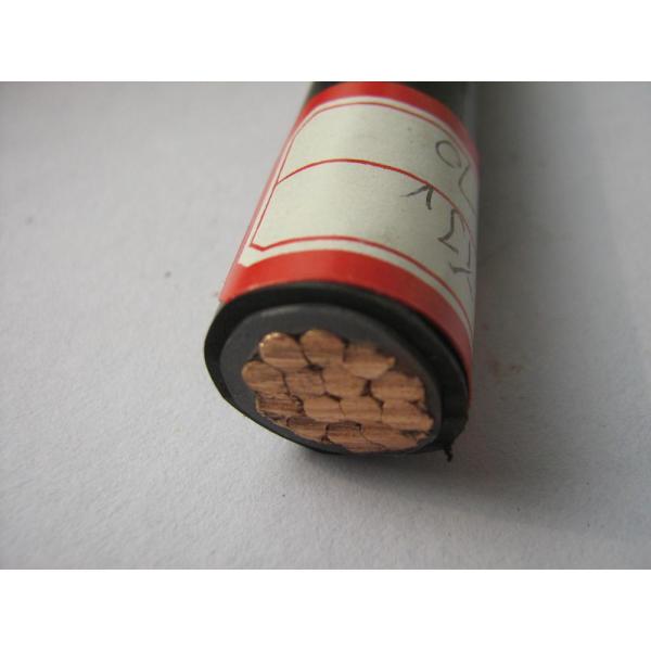 12/20kv Single core CU /AL conductor XLPE insulated armoured 1x800 mm2 YJV YJLV power cable