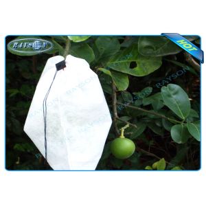 China Nonwoven Agiculture Plant Grow Bags For Fruit Growth and Protection , Potato Grow Bags on sale