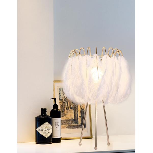 Modern Floor lamp for Living room Studio Bedroom Girl room feather lamp(WH-MFL-26)