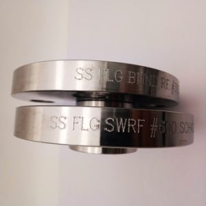 ASTM A182 304 316L 904 2205 2 Inch Pipe Flange Pn16 RF Stainless Steel Forging