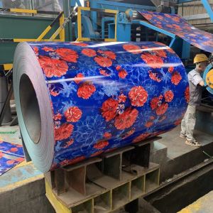 Galvanized Prepainted Printed Coils Combining Aesthetics Protective Performance