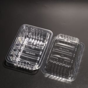Customized Plastic PET Disposable Rectangular Food Tray