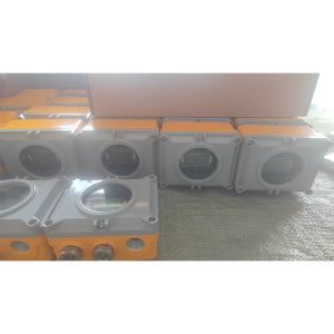 Air velocity sensor with ATEX Custom Probe Length 24VDC