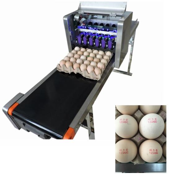 High Speed Egg Date Stamp Machine , Industrial Continuous Inkjet Printers