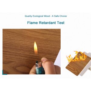 Architectural Feature Wallboard with Waterproof MDF Material and 3D Damask