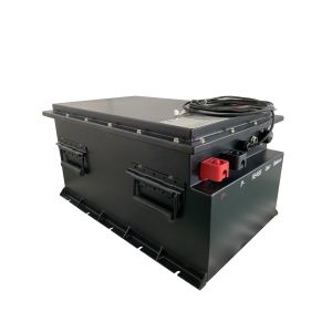 48 Volt 84Ah Golf Cart LiFePO4 Battery With Battery Gauge With Fast Charger