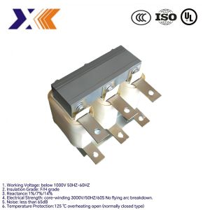 AC/DC Line Output Reactor for D/C 380V/400V/660V/690V and Customizable Tolerance