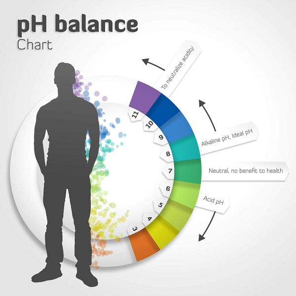 Water Ionizer & Purifier Machine PH 3-11 Alkaline Acid / 7 Water Settings up to / Auto-Cleaning-LCD Touch Water Filter