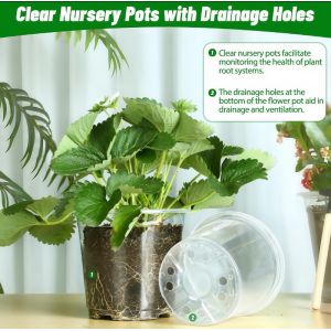 Transparent Orchid Pot With UV Resistant Coating