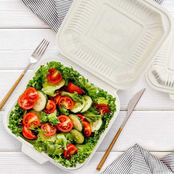 Buy Corn Starch Bento Compartment Eco-Friendly Packaging Disposable Biodegradable Box Food Container at wholesale prices