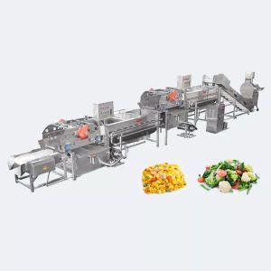 Central kitchen fruit and vegetable washing machine clean vegetable food