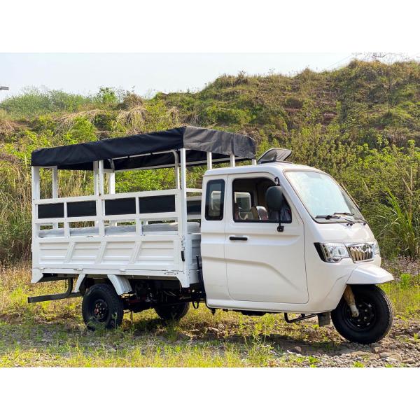 800W Semi-Cabin Motorized Cargo Tricycle with Enclosed Cabin and Plastic Cargo Cover