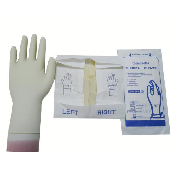 Buy Comfortable Sterile Latex Surgical Gloves Micro Rough Surface Texture at wholesale prices
