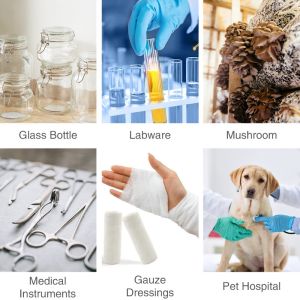 High Pressure Steam Sterilizer Vertical Autoclave Stainless Steel 8KW Automatic