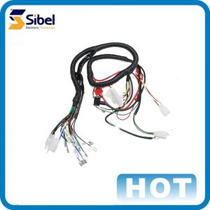 Customized Auto Electrical Wire Pigtail Wire Harness Loom Automotive Cable