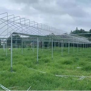 Plastic Film Polytunnel Greenhouse Sawtooth Greenhouse 10X30m