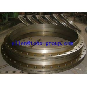 TOBO GROUP AISI SAE 8360 Slip on Flange