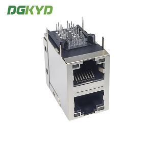 DGKYD21Q145DE3A2DDBB057 2X1 Dual Port Modular Interface RJ45 Ethernet Gigabit
