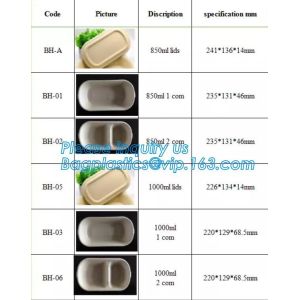 disposable takeaway bento to go box compostable food packaging sugarcane bagasse