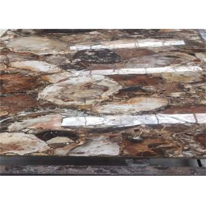 Petrified Wood Semi Precious Stone Slabs Smooth Surface Customized Cut