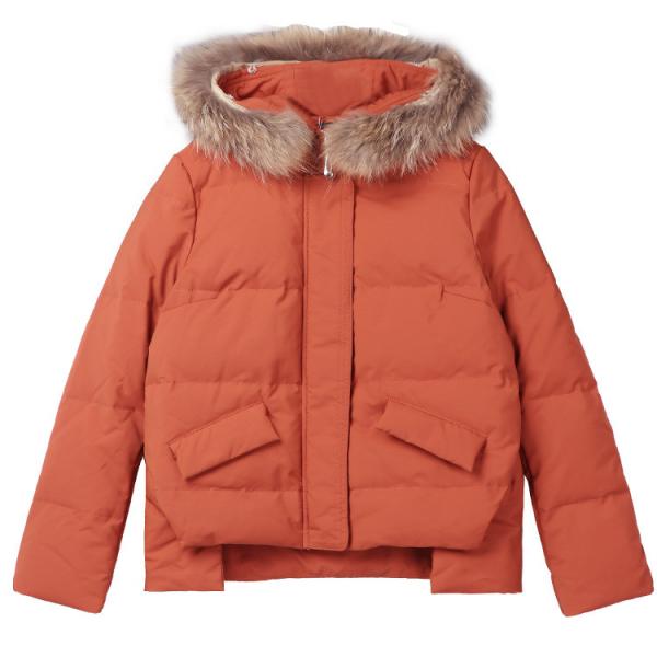 Buy Young Yellow Polyester Bomber Jacket With Fur Hood Womens at wholesale prices