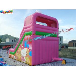 Cute Cat Commercial Inflatable Slide , Childrens Small Dry Slide Slip Inflatable