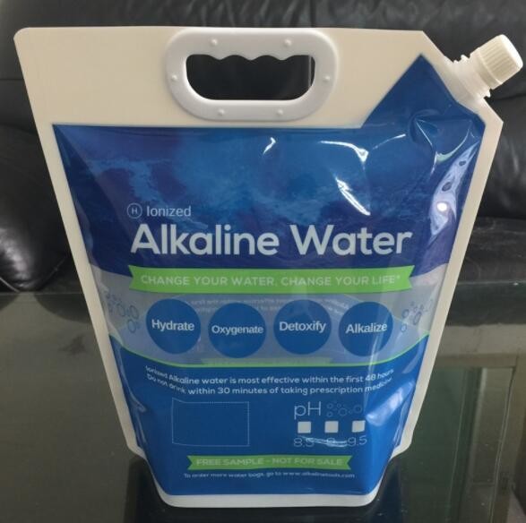 Buy Liquid 2.5L Eco Friendly Plastic Packaging 4 CMYK Color Stand Up Pouch With Nozzle at wholesale prices