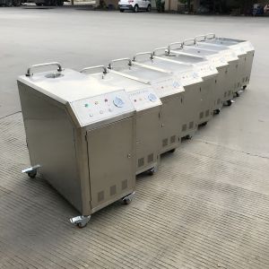 High Pressure 1MPa Electric Steam Car Washing Machine With Spray Gun