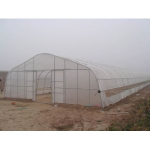 Commercial Plastic Tunnel Greenhouse , High Tunnel Greenhouse Easy Assemble