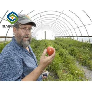 Fruits 100m Single Span Plastic Tunnel Greenhouse
