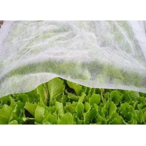 PP Nonwoven Fabrics Anti-frostbite Insect prevention for Agricultrural