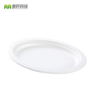 Biodegradable Sugarcane Pulp Party Dinnerware Plate Sugarcane Bagasse Paper