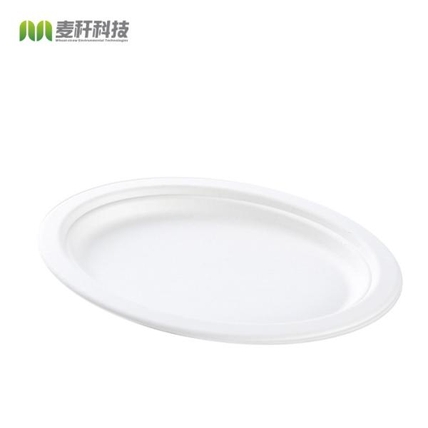 Biodegradable Sugarcane Pulp Party Dinnerware Plate Sugarcane Bagasse Paper