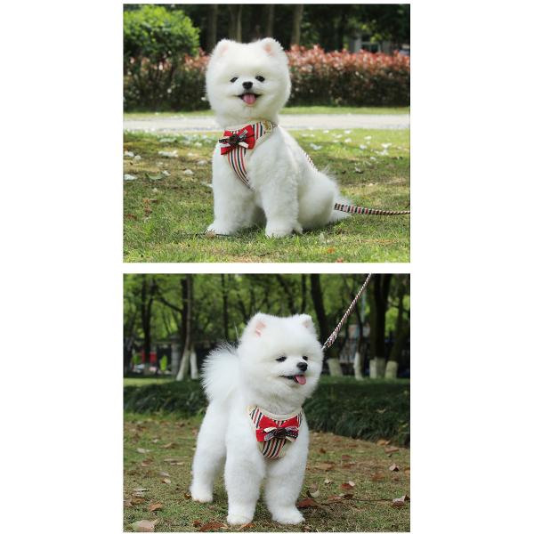 Wholesales Adjustable No-pull Pet Saddle Vest Pet product Cheap Dog Dress Pet Accessories Dog Harness And Leash