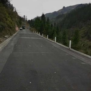 Cement Pavement Reconstruction High Temperature Rutting Resistance Fiberglass