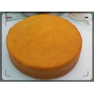 Wirecut Mono Cookie Depositor Batter Macaron Maker Machine