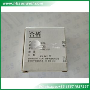 Original FOTON Cummins ISF3.8 Camshaft bushing 5298256 3940059 for Foton new