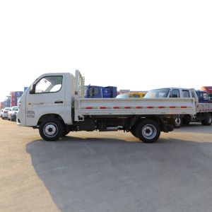 Futian Ruiwo Xiaojingang Commercial Vehicle Truck Dump Pickup Truck Gasoline