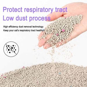 Customized Flavor Clumping Sand Cat Litter Colorful Bentonite Premium Cat Litter