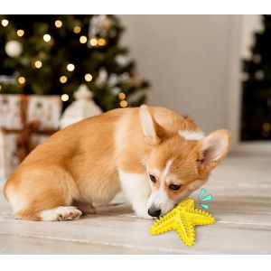 Pet Starfish Squeaky Toy Teeth Cleaning Bite Resistant Dog Toy