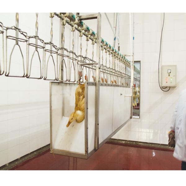 Buy Stainless Steel Poultry Slaughtering Line 500 Bph Chicken Plucking Equipment at wholesale prices